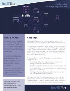 IntelliTect's Trellis software overview and challenge info